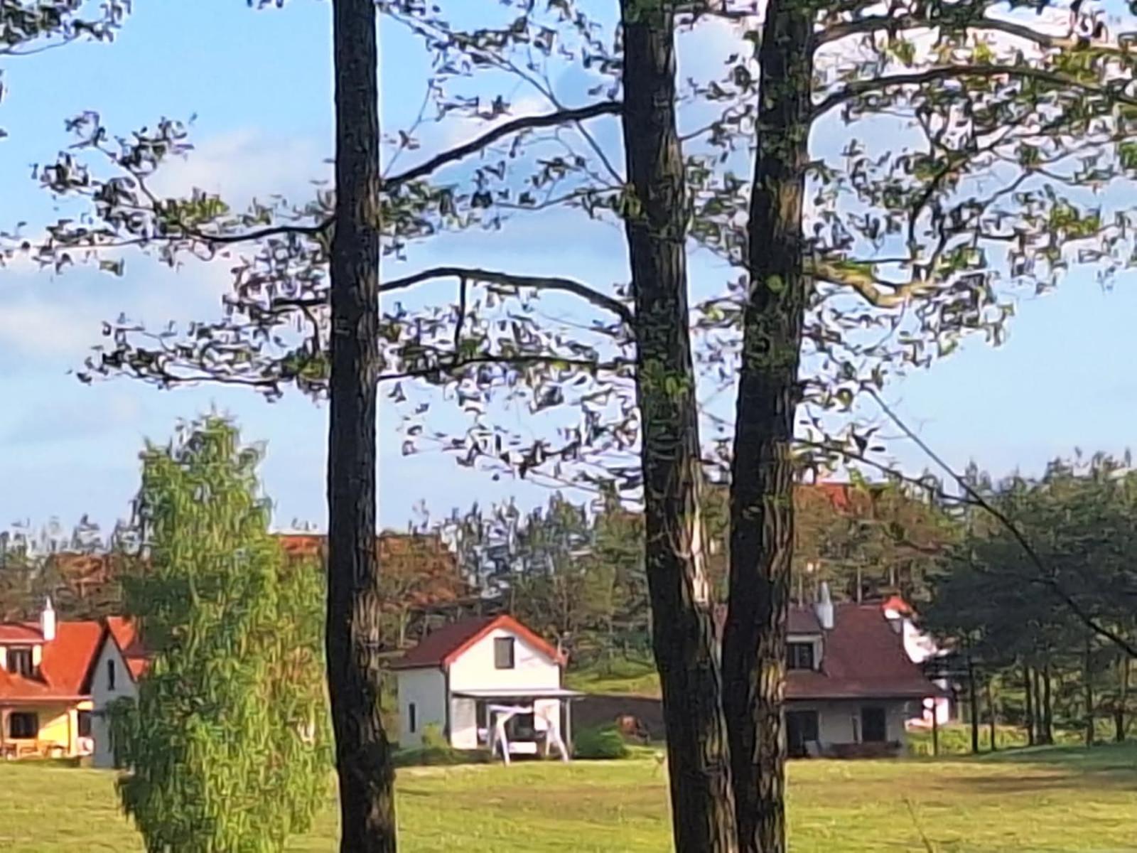 Posiadlosc Nad Zatoka Ryn  Rom bilde